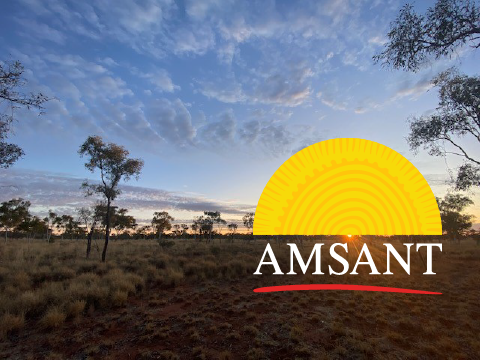 AMSANT submission cover image of landscape with AMSANT logo as setting sun