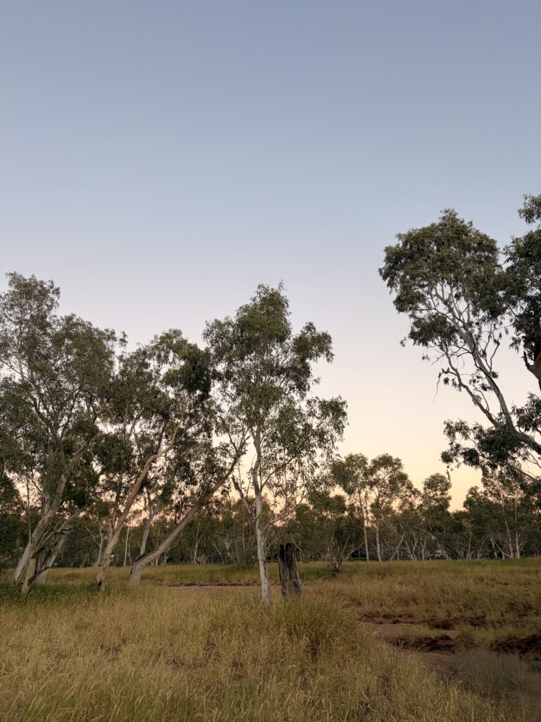 Alice Springs May 2026